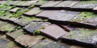 Coldmoorholme roof repair costs